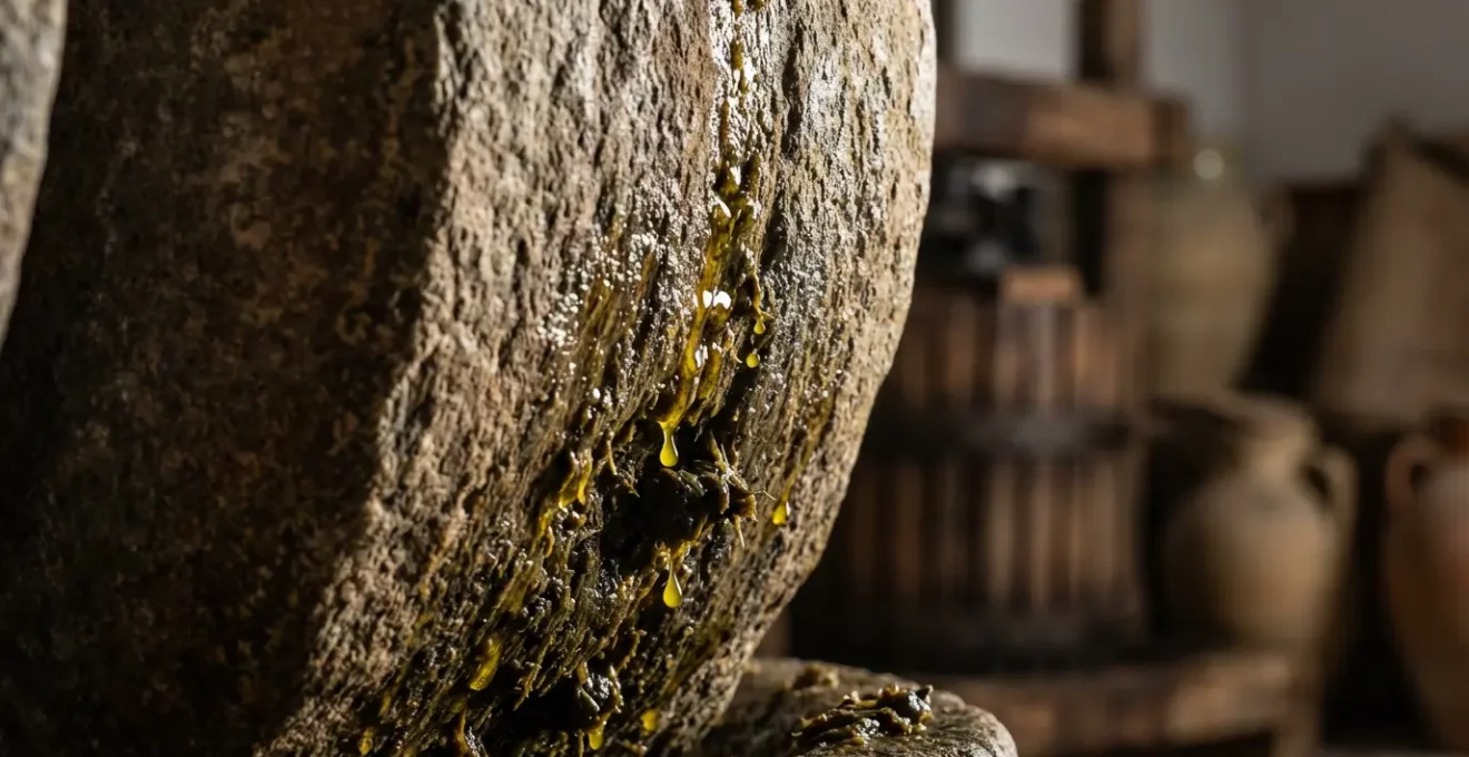 Pressoir traditionnel tunisien avec meules de pierre écrasant les olives dans une lumière dorée