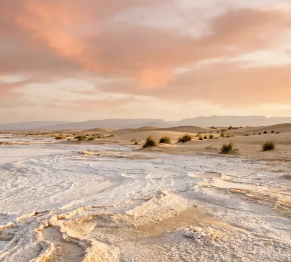 Vue panoramique du Sud tunisien avec le Chott el-Jérid, les oasis de montagne et les paysages désertiques